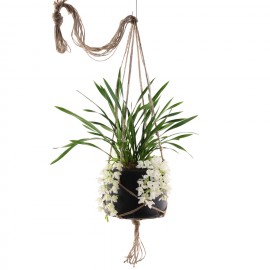 Macrame planthanger